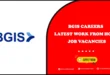 BGIS Careers