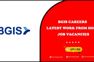 BGIS Careers